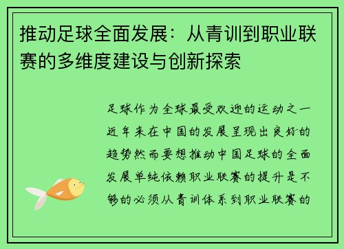 推动足球全面发展：从青训到职业联赛的多维度建设与创新探索